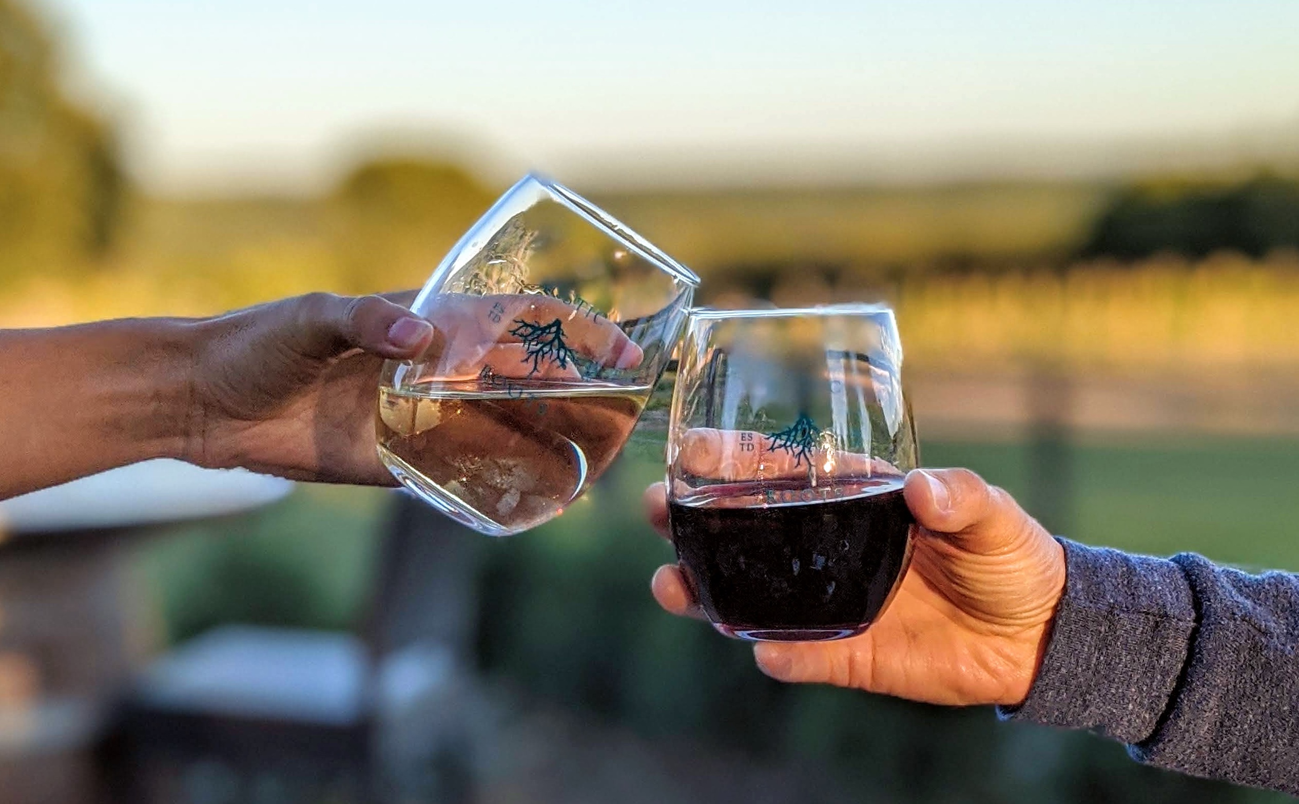 Rustic Roots wine glasses